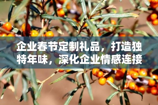 企业春节定制礼品，打造独特年味，深化企业情感连接